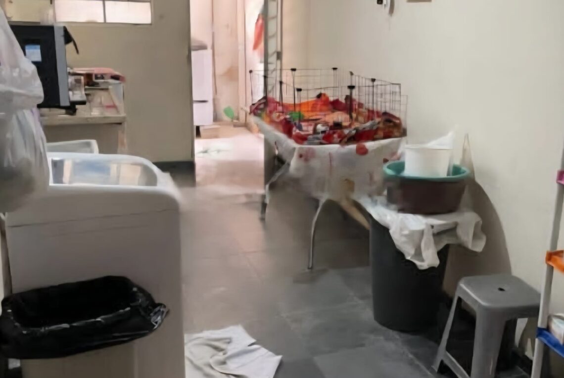 WhatsApp Image 2025-10-28 at 14.06.05 (1)