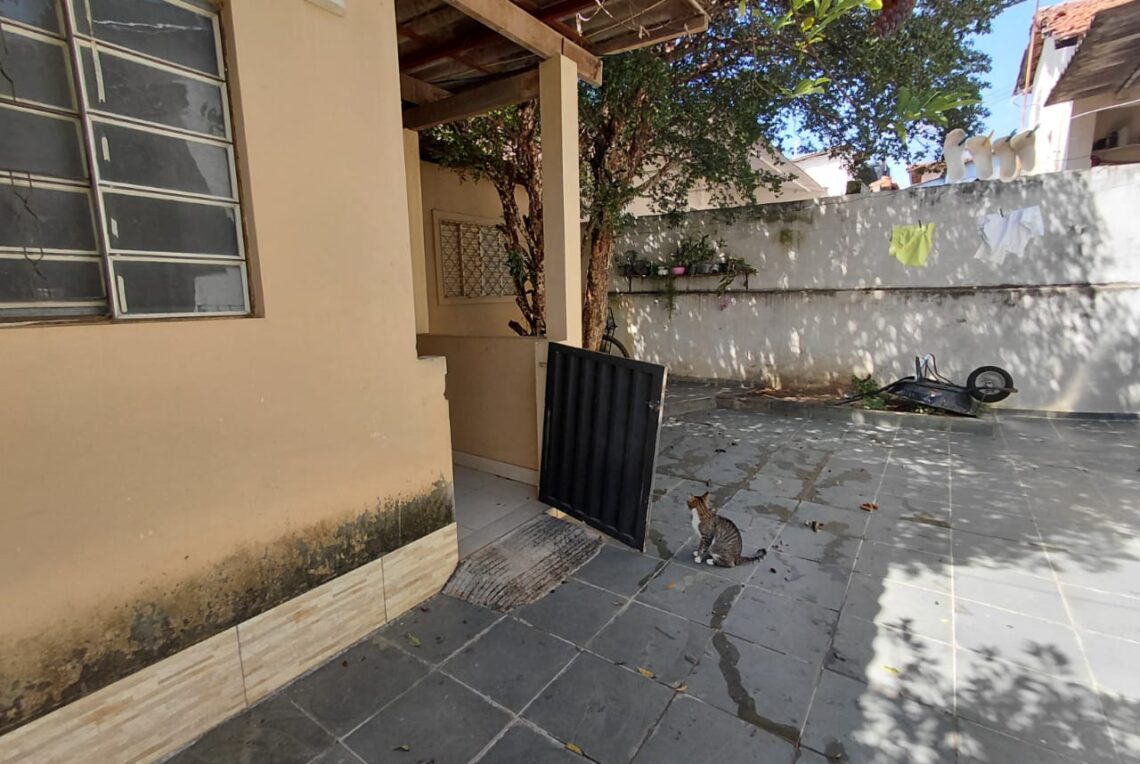 WhatsApp Image 2025-10-28 at 15.02.16