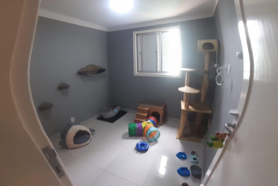 WhatsApp Image 2026-02-06 at 13.31.21 (1)