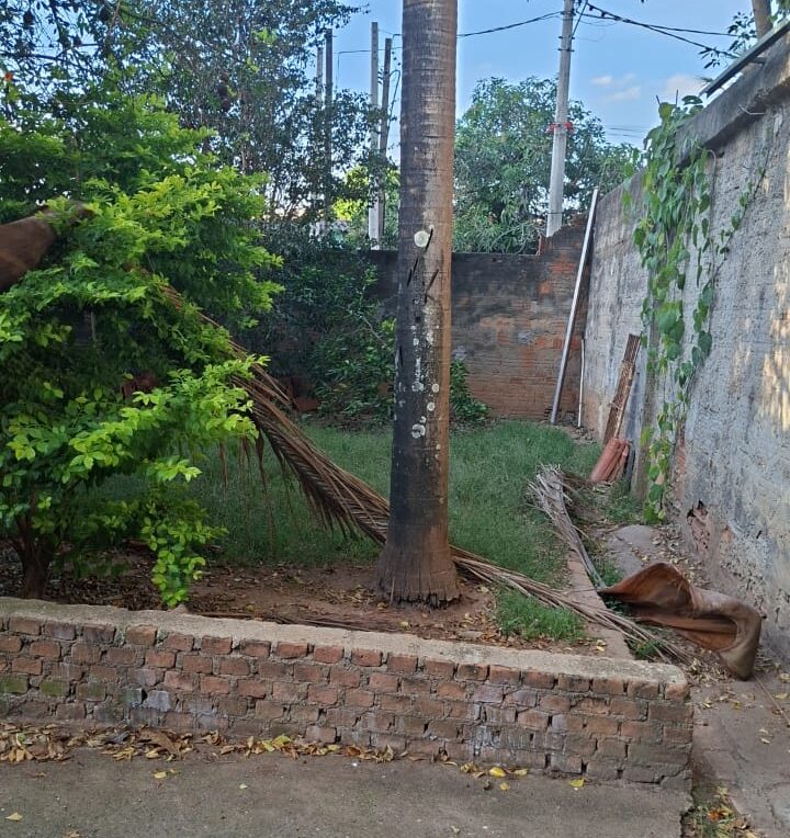 WhatsApp Image 2026-06-24 at 18.36.46 (2)