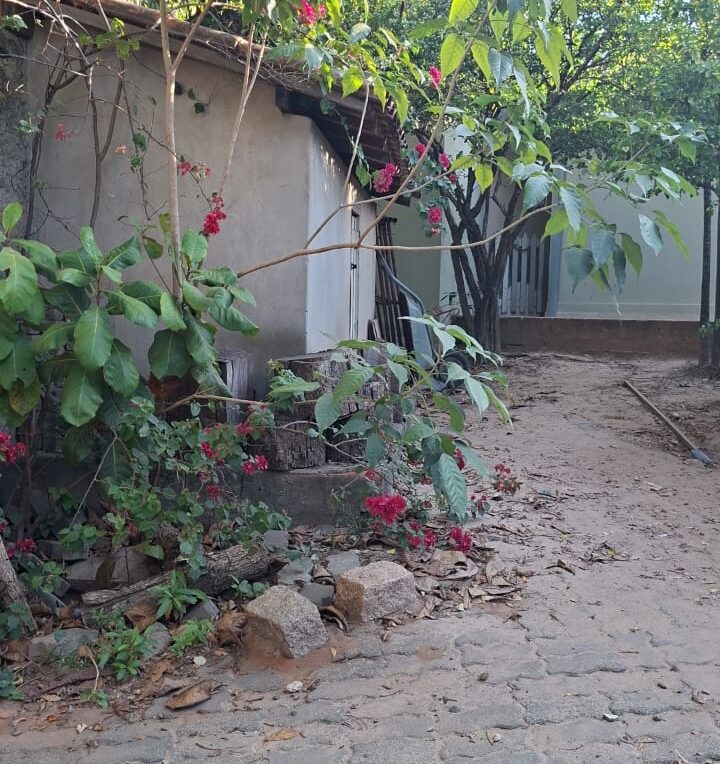 WhatsApp Image 2026-06-24 at 18.36.47 (3)